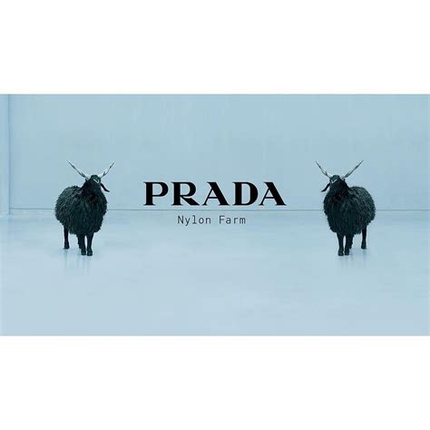 agenzia che ha cutayo progetfo prada nylon farm|BENVENUTI ALLA ‘NYLON FARM’ DI PRADA.